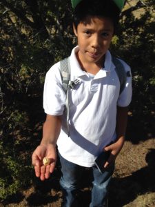 Field Trips to La Tierra Trails with Camino Real Academy Fourth Graders, Sept.-Oct.,  2015