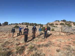 Galisteo Basin Work Day @ Cottonwood Trailhead, Galisteo Basin Preserve