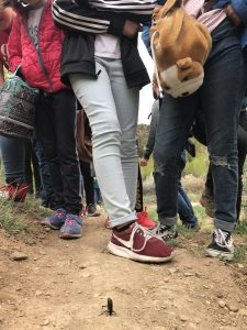 Field Trips to Local Trails in May 2019
