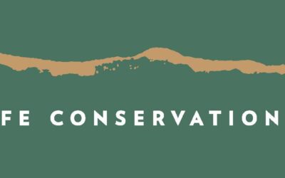 Galisteo Property Renaming