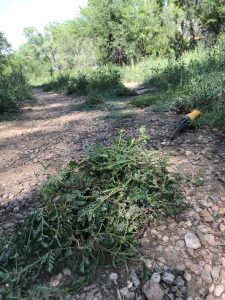 Trail Work on the Santa Fe River @ Meet at Water History Park