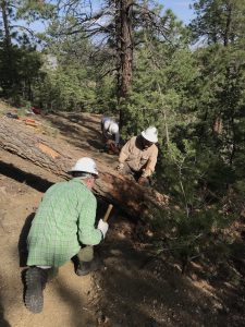 Trail Work in 2021