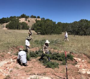 Erosion Control Structure Workday @ Conservation Homestead